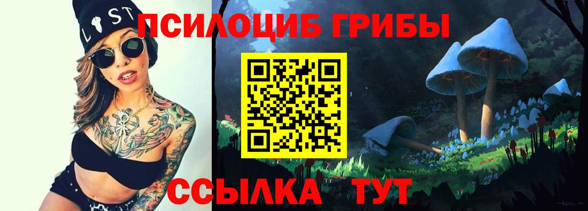 Псилоцибиновые грибы Psilocybine cubensis  Вход с VPN  Ростов-на-Дону 